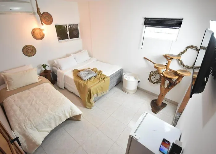 Cartagena Hotel Boutique - Manga - Tierra del Mar - Colombia