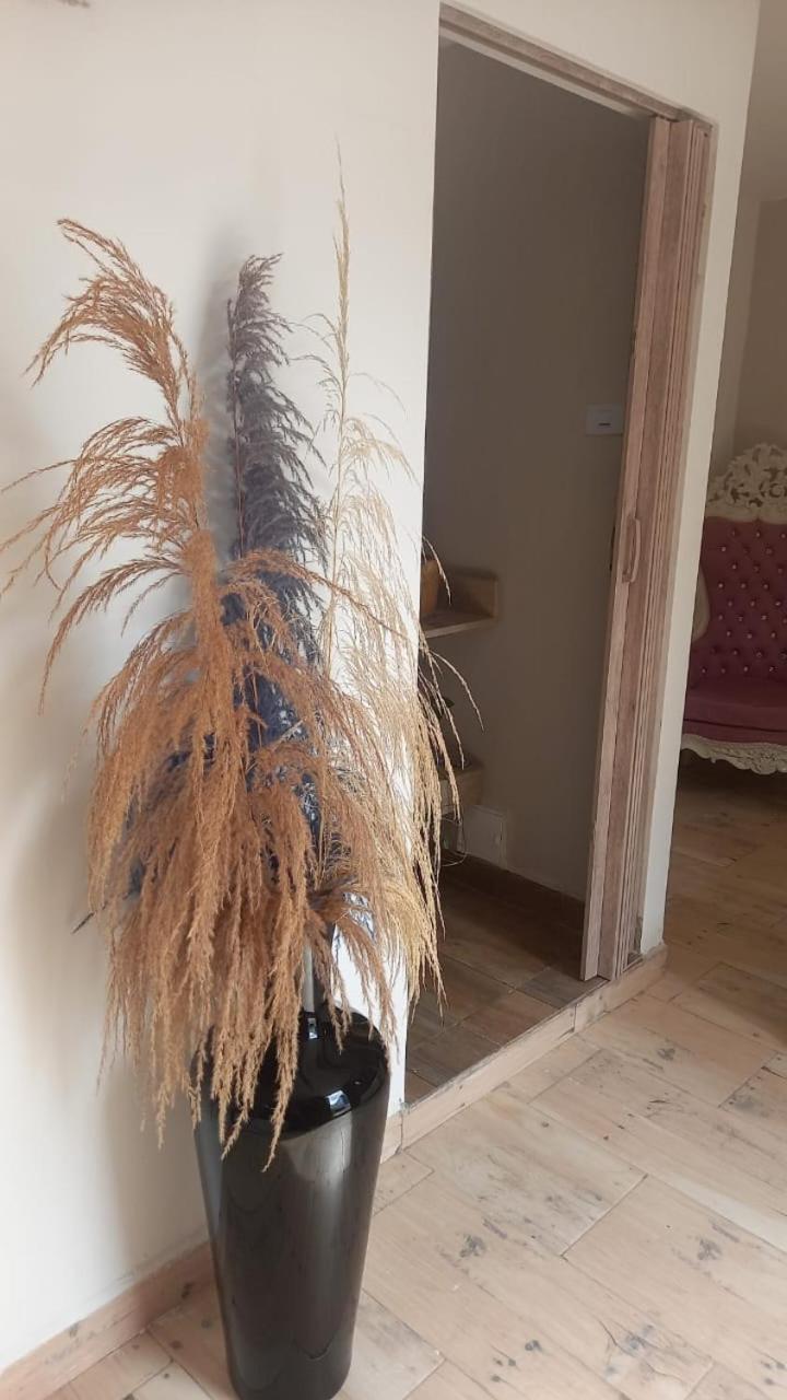 Boutique - Manga - Tierra Del Mar - Colombia Hotel