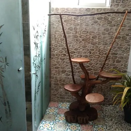 Boutique - Manga - Tierra Del Mar - Colombia 5*